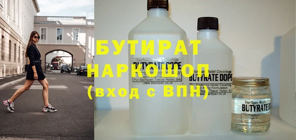 индика Гусь-Хрустальный