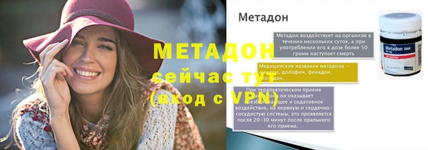 индика Гусь-Хрустальный