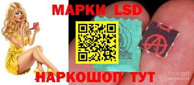 ALPHA-PVP Гатчина