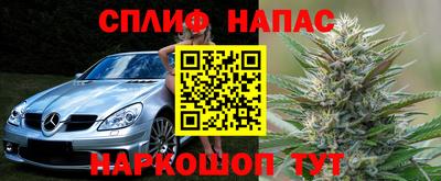 ПСИЛОЦИБИНОВЫЕ ГРИБЫ Гагарин