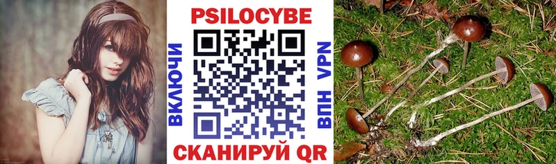 Псилоцибиновые грибы Psilocybe  купить наркотики цена  Десногорск 