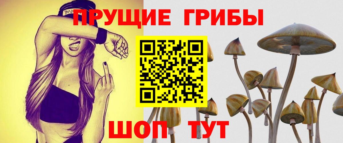 Галлюциногенные грибы ЛСД  где купить наркоту  Десногорск 